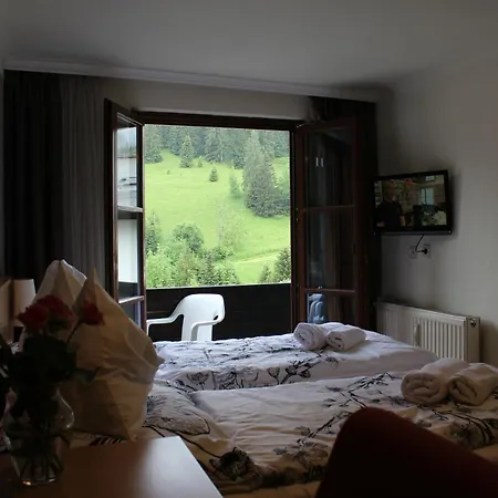 Hotel Alt Kirchheim *
